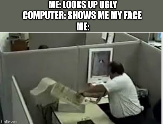 Destruction 100 | ME: LOOKS UP UGLY; COMPUTER: SHOWS ME MY FACE; ME: | image tagged in man destroys computer | made w/ Imgflip meme maker