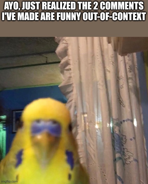 ayo bird | AYO, JUST REALIZED THE 2 COMMENTS I'VE MADE ARE FUNNY OUT-OF-CONTEXT | image tagged in ayo bird | made w/ Imgflip meme maker