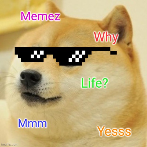 Doge | Memez; Why; Life? Mmm; Yesss | image tagged in memes,doge | made w/ Imgflip meme maker