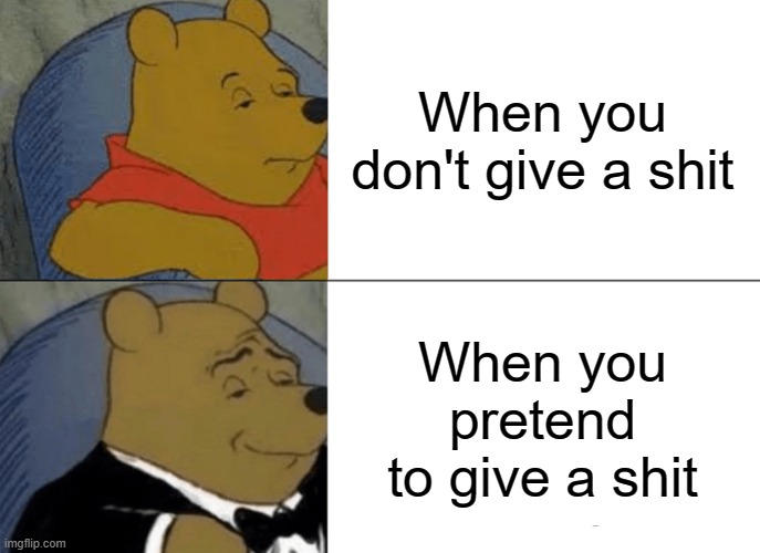 Tuxedo Winnie The Pooh | When you don't give a shit; When you pretend to give a shit | image tagged in memes,tuxedo winnie the pooh | made w/ Imgflip meme maker