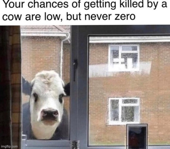 Never trust a cow | image tagged in memes,unfunny | made w/ Imgflip meme maker