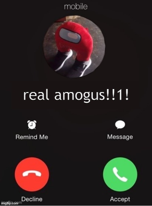 im sorry |  real amogus!!1! | image tagged in lol | made w/ Imgflip meme maker