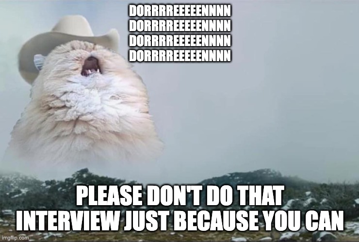 Screaming Cowboy Cat |  DORRRREEEEENNNN
DORRRREEEEENNNN
DORRRREEEEENNNN
DORRRREEEEENNNN; PLEASE DON'T DO THAT INTERVIEW JUST BECAUSE YOU CAN | image tagged in screaming cowboy cat,AdviceAnimals | made w/ Imgflip meme maker