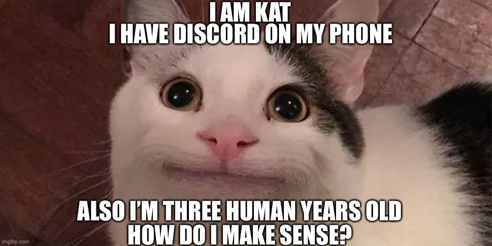 Please explain this to me |  I AM KAT; I HAVE DISCORD ON MY PHONE; ALSO I’M THREE HUMAN YEARS OLD; HOW DO I MAKE SENSE? | image tagged in beluga | made w/ Imgflip meme maker