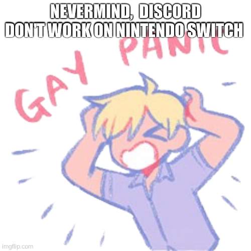 Gay panic | NEVERMIND,  DISCORD DON'T WORK ON NINTENDO SWITCH | image tagged in gay panic | made w/ Imgflip meme maker