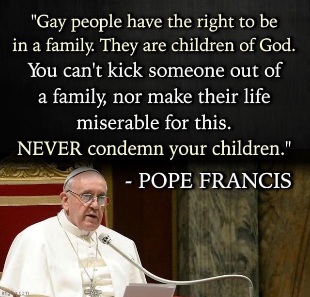 Pope Francis on homosexuality | image tagged in pope francis on homosexuality | made w/ Imgflip meme maker