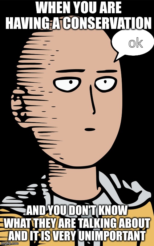 bored yet |  WHEN YOU ARE HAVING A CONSERVATION; ok; AND YOU DON'T KNOW WHAT THEY ARE TALKING ABOUT AND IT IS VERY UNIMPORTANT | image tagged in one punch man | made w/ Imgflip meme maker