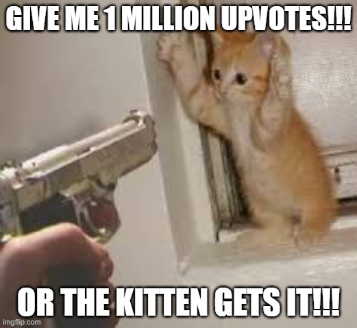 Upvotes to save the kitten |  GIVE ME 1 MILLION UPVOTES!!! OR THE KITTEN GETS IT!!! | image tagged in gun menacing kitten | made w/ Imgflip meme maker