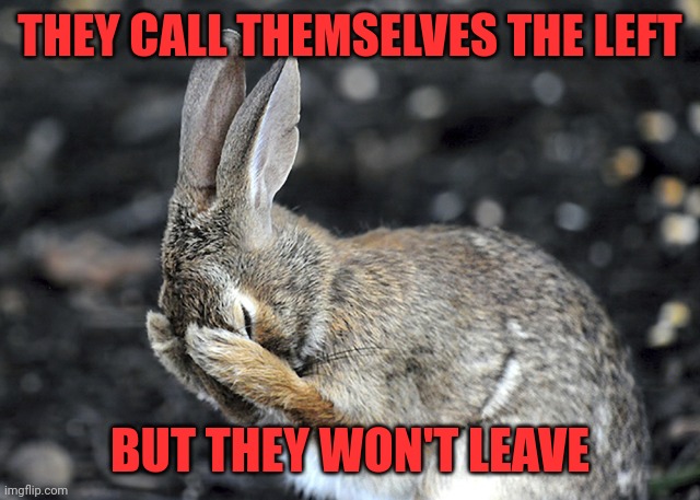 The irony | THEY CALL THEMSELVES THE LEFT; BUT THEY WON'T LEAVE | image tagged in bunny hides | made w/ Imgflip meme maker