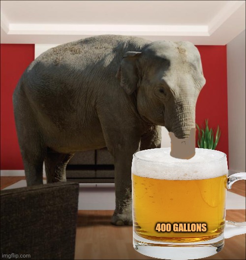 Small beer | 400 GALLONS | image tagged in elephant in the room,small,beer,elephant,but why why would you do that | made w/ Imgflip meme maker