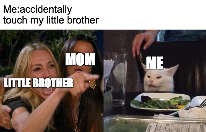 Little brother memes | Me:accidentally touch my little brother; MOM; ME; LITTLE BROTHER | image tagged in memes,woman yelling at cat | made w/ Imgflip meme maker