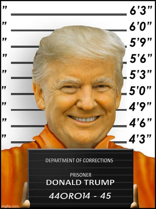 Reinstated to the big house | image tagged in donald trump,criminal,coup,confusion | made w/ Imgflip meme maker
