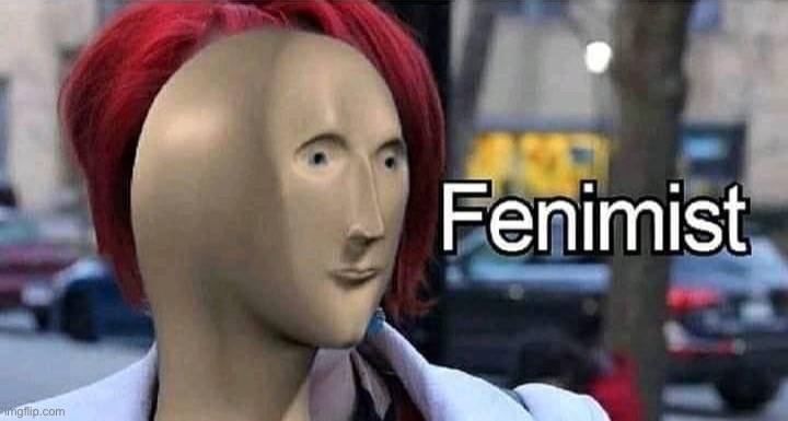Meme man fenimist | image tagged in meme man fenimist | made w/ Imgflip meme maker