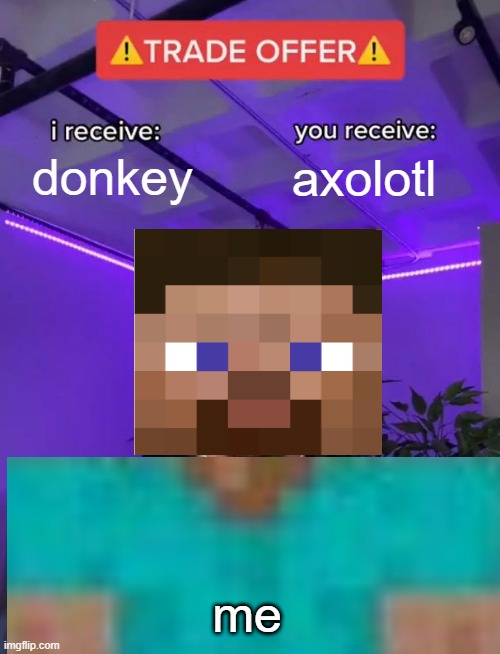 YES!! | donkey; axolotl; me | image tagged in axolotl,cute animals,minecraft | made w/ Imgflip meme maker
