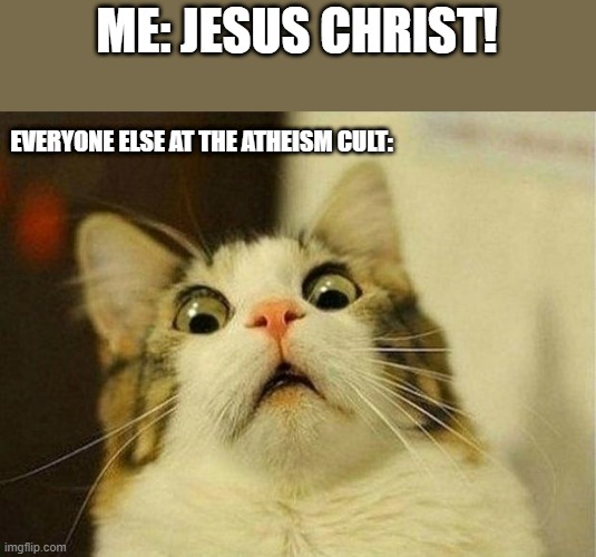 Non-believer in atheism cult | ME: JESUS CHRIST! EVERYONE ELSE AT THE ATHEISM CULT: | image tagged in memes,scared cat | made w/ Imgflip meme maker