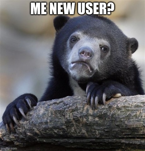 Confession Bear Meme | ME NEW USER? | image tagged in memes,confession bear | made w/ Imgflip meme maker