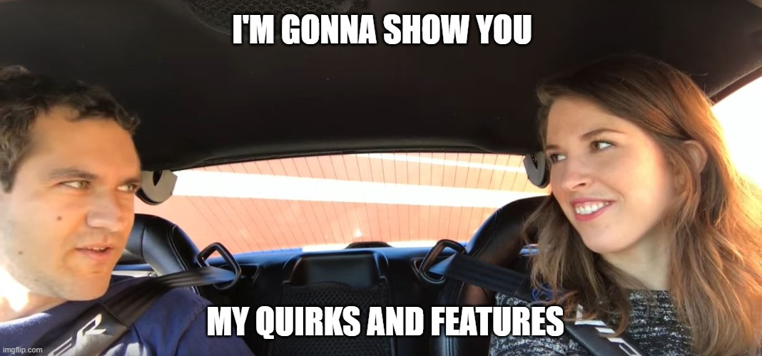 I'm gonna show you my quirks and features | I'M GONNA SHOW YOU; MY QUIRKS AND FEATURES | image tagged in meme | made w/ Imgflip meme maker