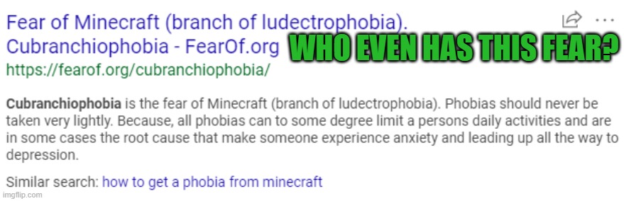 Who has this fear? | WHO EVEN HAS THIS FEAR? | image tagged in phobia,minecraft | made w/ Imgflip meme maker