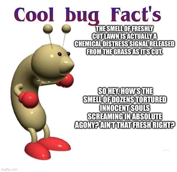Cool fact indeed. | THE SMELL OF FRESHLY CUT LAWN IS ACTUALLY A CHEMICAL DISTRESS SIGNAL RELEASED FROM THE GRASS AS IT’S CUT. SO HEY, HOW’S THE SMELL OF DOZENS TORTURED INNOCENT SOULS SCREAMING IN ABSOLUTE AGONY? AIN’T THAT FRESH RIGHT? | image tagged in cool bug facts | made w/ Imgflip meme maker
