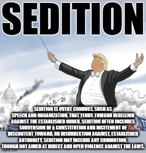 SEDITION | SEDITION; SEDITION IS OVERT CONDUCT, SUCH AS SPEECH AND ORGANIZATION, THAT TENDS TOWARD REBELLION AGAINST THE ESTABLISHED ORDER. SEDITION OFTEN INCLUDES SUBVERSION OF A CONSTITUTION AND INCITEMENT OF DISCONTENT TOWARD, OR INSURRECTION AGAINST, ESTABLISHED AUTHORITY. SEDITION MAY INCLUDE ANY COMMOTION, THOUGH NOT AIMED AT DIRECT AND OPEN VIOLENCE AGAINST THE LAWS. | image tagged in sedition,speech,conduct,insurrection,incitment,violence | made w/ Imgflip meme maker