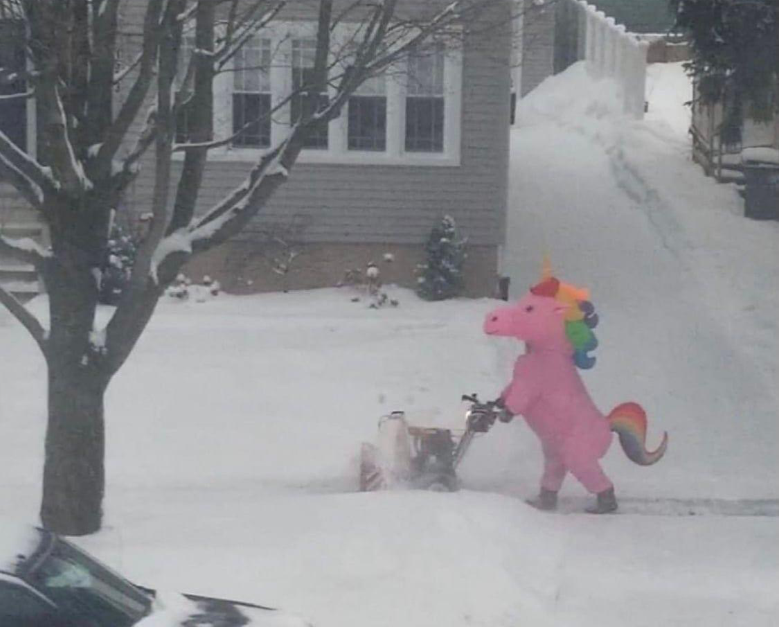 Snow unicorn Blank Meme Template