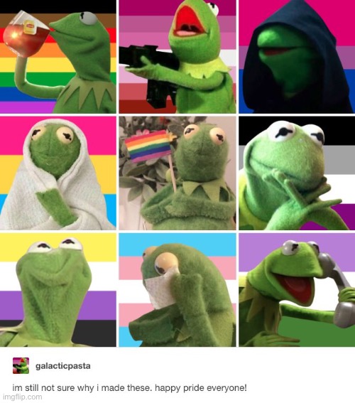 I love the nonbinary one | image tagged in kermit the frog,pride | made w/ Imgflip meme maker