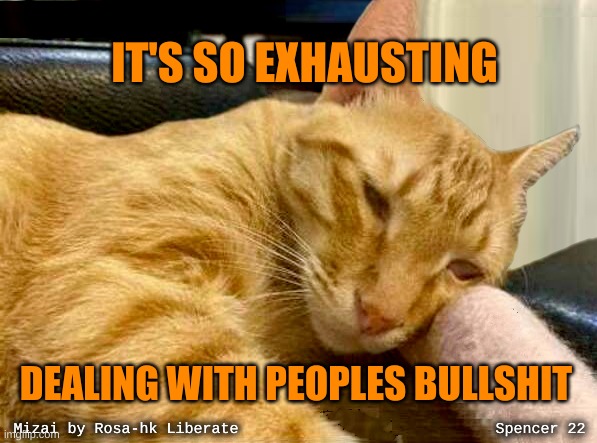 IT'S SO EXHAUSTING; DEALING WITH PEOPLES BULLSHIT | image tagged in bullshit,that face you make when,what the hell is wrong with you people,facebook,meanwhile on imgflip,cats | made w/ Imgflip meme maker