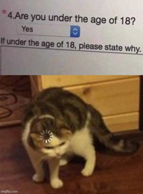 *visible confusion* | image tagged in loading cat,funny,memes,funny memes,age,gifs | made w/ Imgflip meme maker