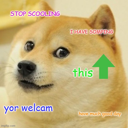 aww | STOP SCOOLING; I HAVE SOMPING; this; yor welcam; have much good day | image tagged in memes,doge,dog,cute,upvote,nice | made w/ Imgflip meme maker
