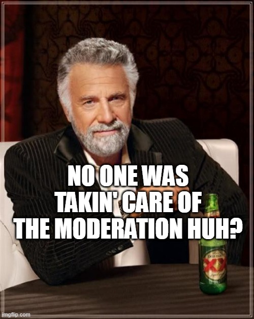 The Most Interesting Man In The World | NO ONE WAS TAKIN' CARE OF THE MODERATION HUH? | image tagged in memes,the most interesting man in the world | made w/ Imgflip meme maker