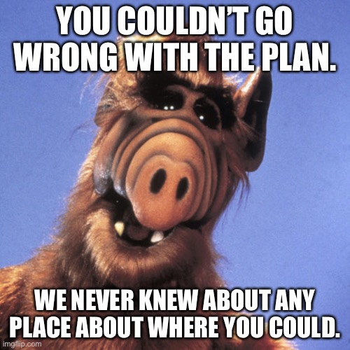 ALF meme |  YOU COULDN’T GO WRONG WITH THE PLAN. WE NEVER KNEW ABOUT ANY PLACE ABOUT WHERE YOU COULD. | image tagged in alf | made w/ Imgflip meme maker