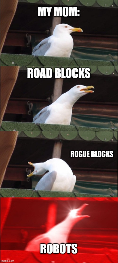 It's Roblox... | MY MOM:; ROAD BLOCKS; ROGUE BLOCKS; ROBOTS | image tagged in memes,inhaling seagull | made w/ Imgflip meme maker