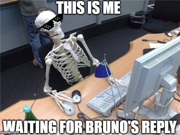 This is me waiting | THIS IS ME; WAITING FOR BRUNO'S REPLY | image tagged in waiting skeleton | made w/ Imgflip meme maker