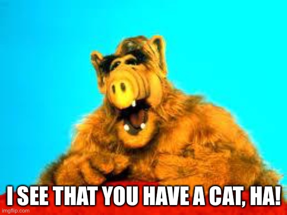 ALF meme II | I SEE THAT YOU HAVE A CAT, HA! | image tagged in alf | made w/ Imgflip meme maker