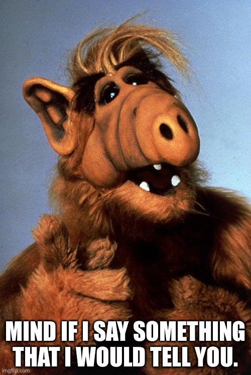 ALF meme | MIND IF I SAY SOMETHING THAT I WOULD TELL YOU. | image tagged in alf | made w/ Imgflip meme maker