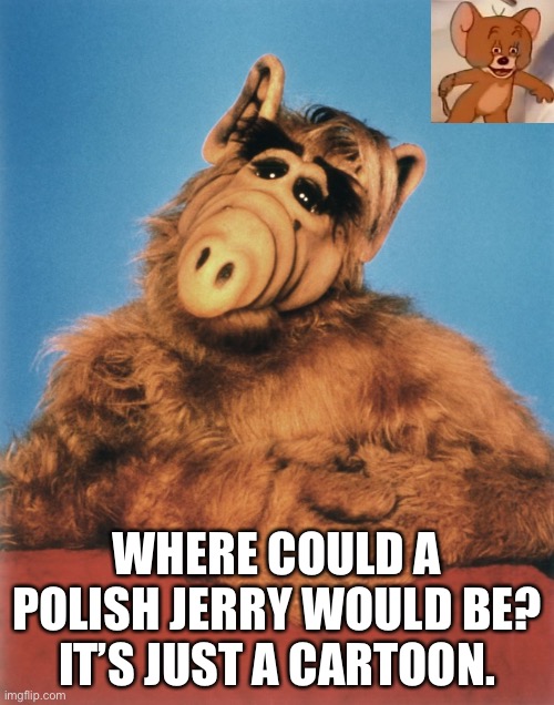 ALF meme 2 |  WHERE COULD A POLISH JERRY WOULD BE? IT’S JUST A CARTOON. | image tagged in alf | made w/ Imgflip meme maker
