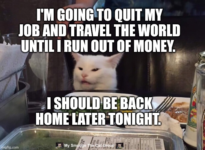 I'M GOING TO QUIT MY JOB AND TRAVEL THE WORLD UNTIL I RUN OUT OF MONEY. I SHOULD BE BACK HOME LATER TONIGHT. | image tagged in smudge the cat | made w/ Imgflip meme maker