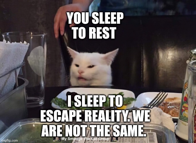 YOU SLEEP TO REST; I SLEEP TO ESCAPE REALITY. WE ARE NOT THE SAME. | image tagged in smudge the cat | made w/ Imgflip meme maker