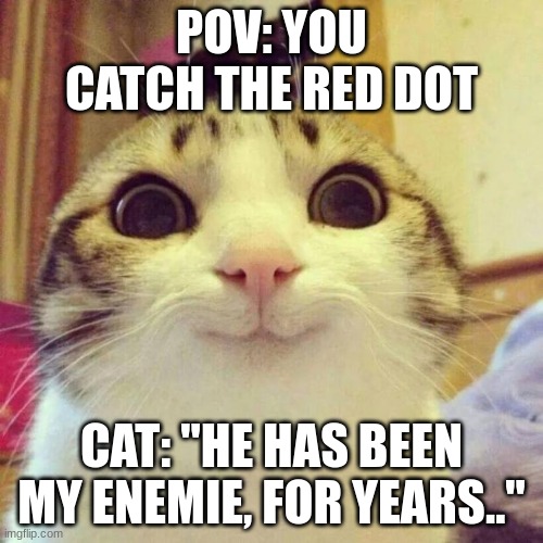 POV: You cought the red dot | POV: YOU CATCH THE RED DOT; CAT: "HE HAS BEEN MY ENEMIE, FOR YEARS.." | image tagged in memes,smiling cat | made w/ Imgflip meme maker