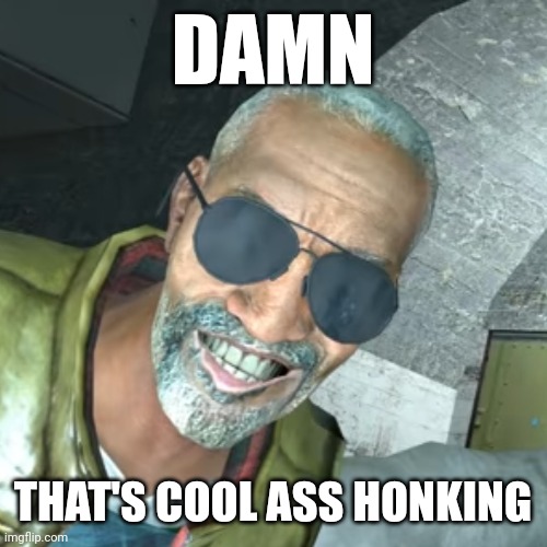 ASS | DAMN; THAT'S COOL ASS HONKING | image tagged in memes | made w/ Imgflip meme maker