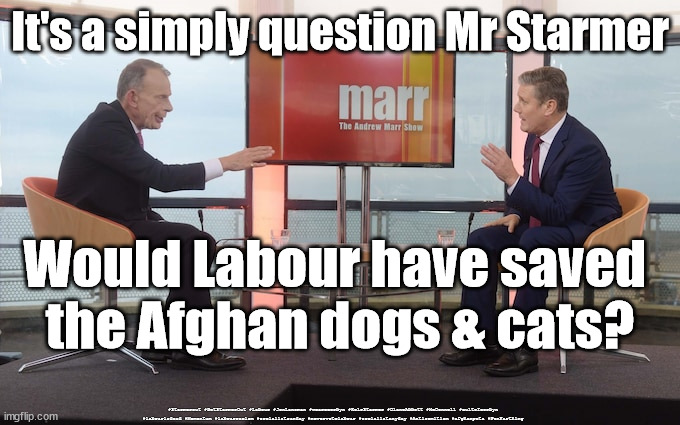 Starmer v Pen Farthing dogs & cats | It's a simply question Mr Starmer; Would Labour have saved 
the Afghan dogs & cats? #Starmerout #GetStarmerOut #Labour #JonLansman #wearecorbyn #KeirStarmer #DianeAbbott #McDonnell #cultofcorbyn #labourisdead #Momentum #labourracism #socialistsunday #nevervotelabour #socialistanyday #Antisemitism #afghanpets #PenFarthing | image tagged in starmer marr,starmerout,getstarmerout,labourisdead,cultofcorbyn,afghan dogs and cats | made w/ Imgflip meme maker
