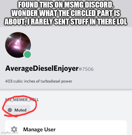 Just something normal (left and rejoined server) | FOUND THIS ON MSMG DISCORD. WONDER WHAT THE CIRCLED PART IS ABOUT, I RARELY SENT STUFF IN THERE LOL | made w/ Imgflip meme maker