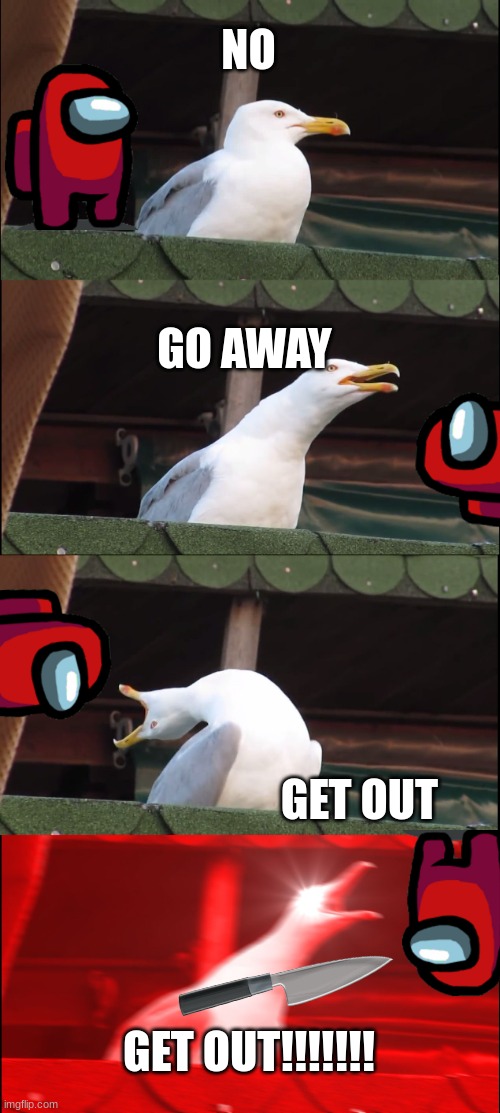 Inhaling Seagull Meme | NO; GO AWAY; GET OUT; GET OUT!!!!!!! | image tagged in memes,inhaling seagull | made w/ Imgflip meme maker