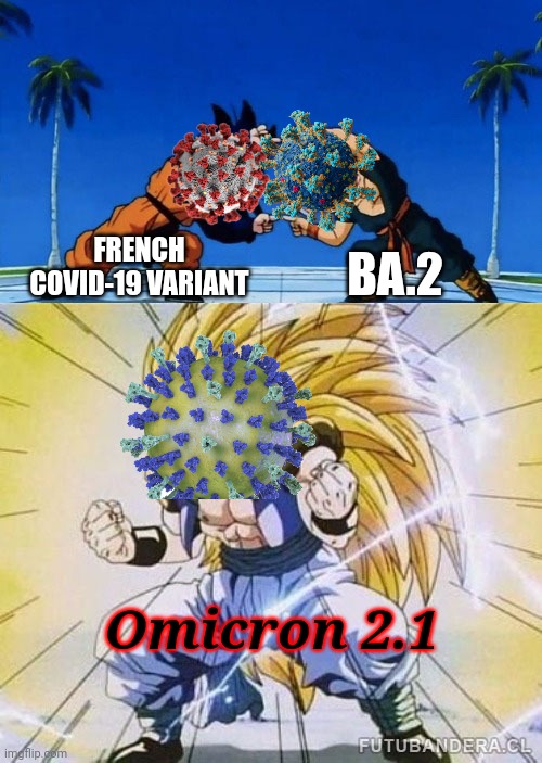 COVID Variants be like | FRENCH COVID-19 VARIANT; BA.2; Omicron 2.1 | image tagged in dbz fusion,ba2,coronavirus,covid-19,omicron,funny not funny | made w/ Imgflip meme maker