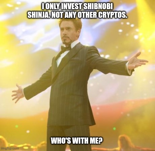 Shibnobi Shinja | I ONLY INVEST SHIBNOBI SHINJA. NOT ANY OTHER CRYPTOS. WHO'S WITH ME? | image tagged in robert downey jr iron man,cryptocurrency,crypto | made w/ Imgflip meme maker