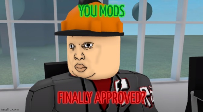 Bruh | YOU MODS; FINALLY APPROVED? | image tagged in bruh | made w/ Imgflip meme maker