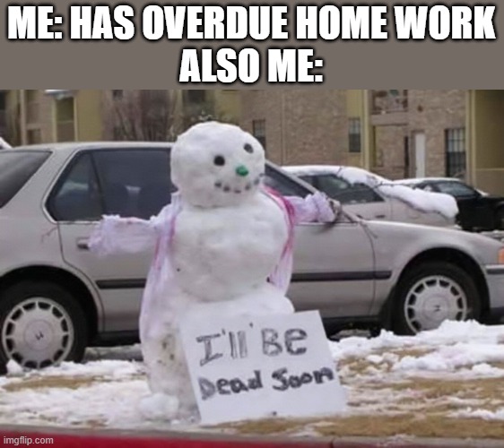 dying snowman | ME: HAS OVERDUE HOME WORK
ALSO ME: | image tagged in dying snowman | made w/ Imgflip meme maker