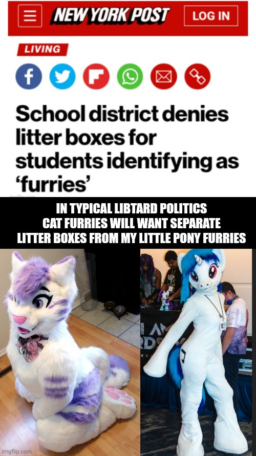 IN TYPICAL LIBTARD POLITICS CAT FURRIES WILL WANT SEPARATE LITTER BOXES FROM MY LITTLE PONY FURRIES | made w/ Imgflip meme maker