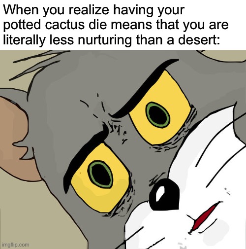 I’m not planning on having kids anytime soon |  When you realize having your potted cactus die means that you are literally less nurturing than a desert: | image tagged in memes,unsettled tom | made w/ Imgflip meme maker
