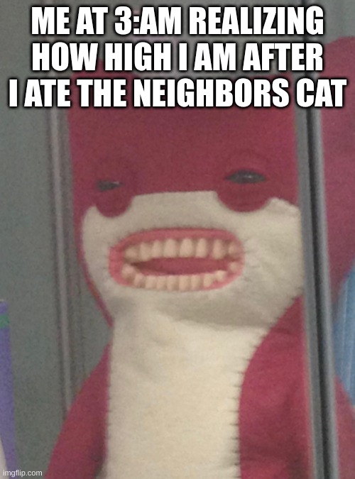 ME AT 3:AM REALIZING HOW HIGH I AM AFTER I ATE THE NEIGHBORS CAT | image tagged in cursed image | made w/ Imgflip meme maker